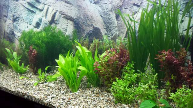 725527_0_82_20140129_144549.jpg