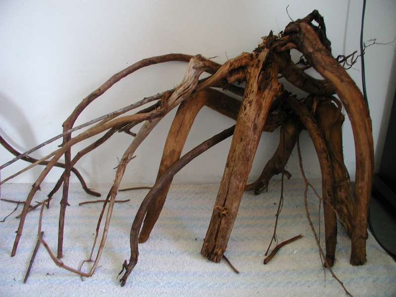726586bartm_0_82_p1010113.jpg