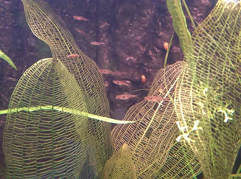 729226_0_82_20141101_16.jpg