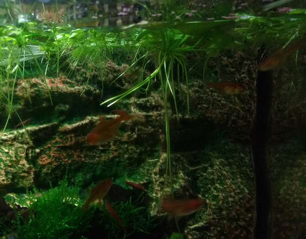734762biologist_0_82__20160205_111455.jpg