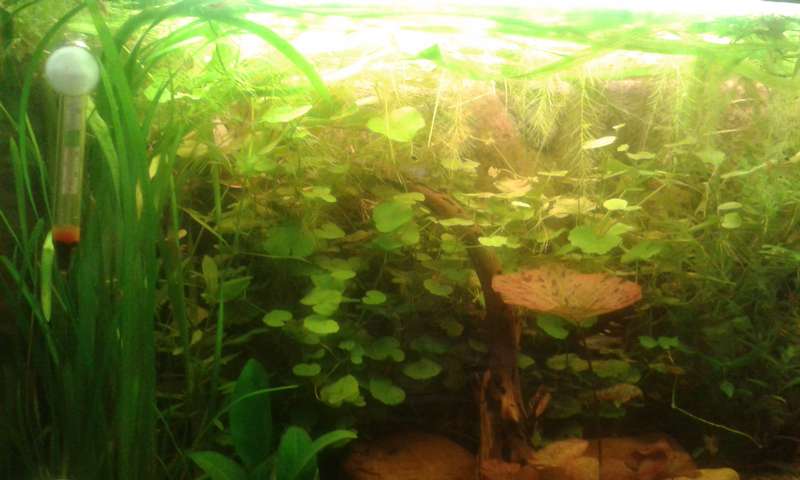 739949_0_82_20131027_143406.jpg
