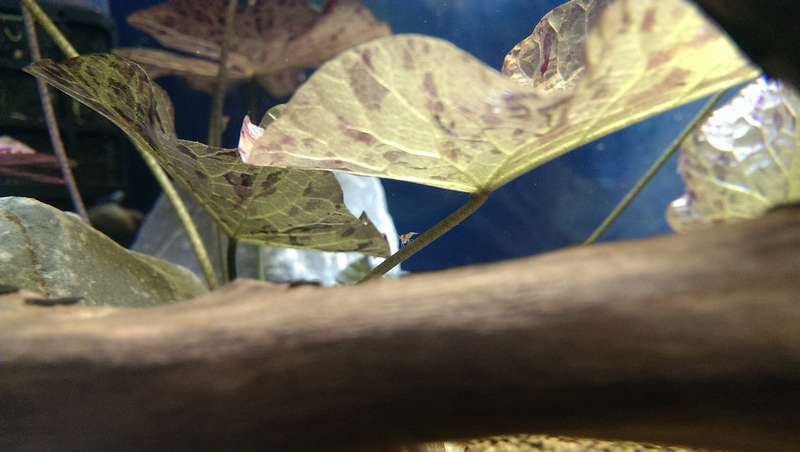 743589_0_82_20141230_18.jpg