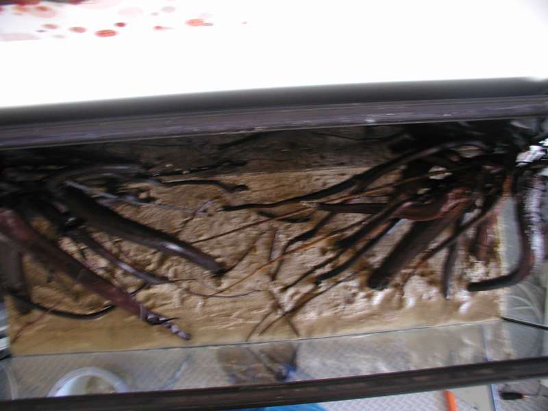 773885bartm_0_82_p1010128.jpg
