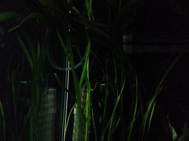 774545_0_82_20140223_11.jpg