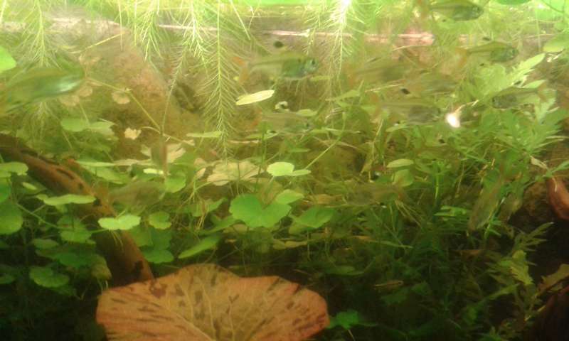 775194_0_82_20131027_143804.jpg