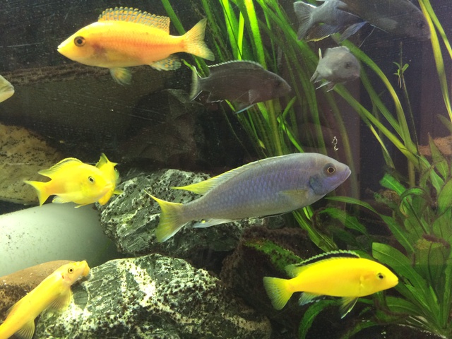 776248aquaria17_0_84_image2.jpg