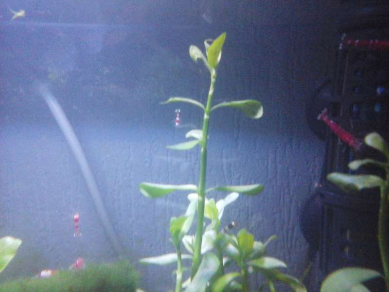 781872_0_82_20140128_210050.jpg