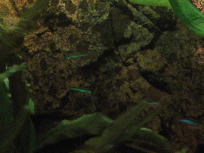 786565_0_82_20140422_202307.jpg