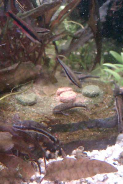 795359_0_82_20140208_21.jpg