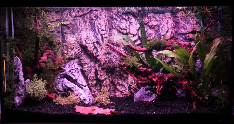 811583popol_0_82_aquar04.jpg