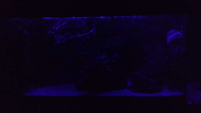 821948biologist_0_82_img_20160127_223024199.jpg