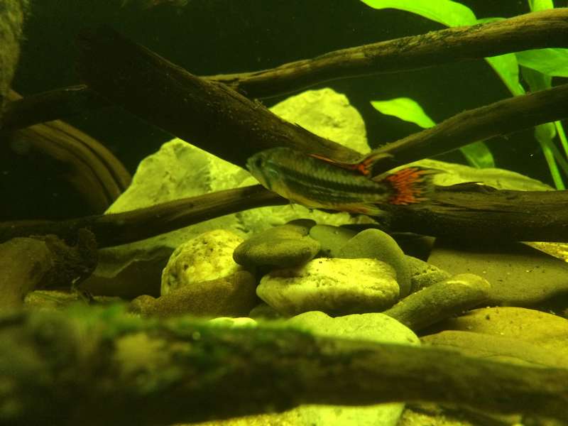 824653bartm_0_82_aqua_11.jpg