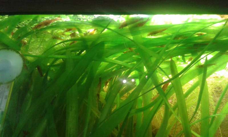 826699an_vrolijk_0_82_20140121_133609.jpg