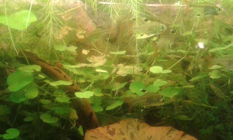 828697_0_82_20131027_143812.jpg