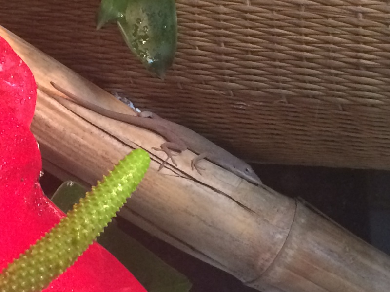 837381aquaria17_0_84_image1_5.jpg