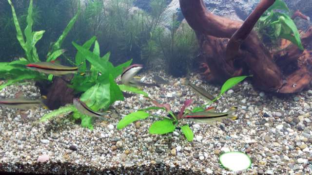 839825_0_82_20140202_203135.jpg