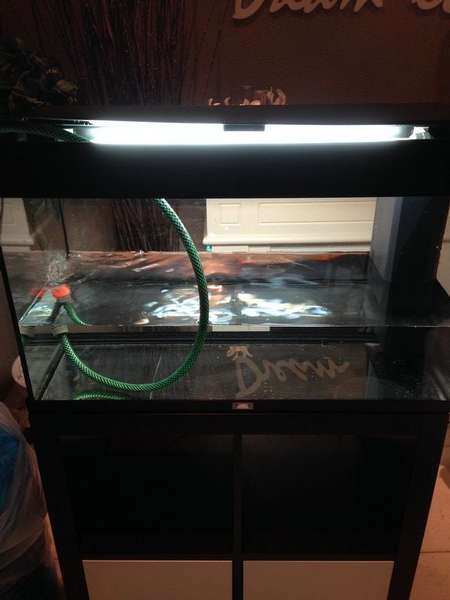 847716coolbr33ze_0_82_aquarium0008.jpg