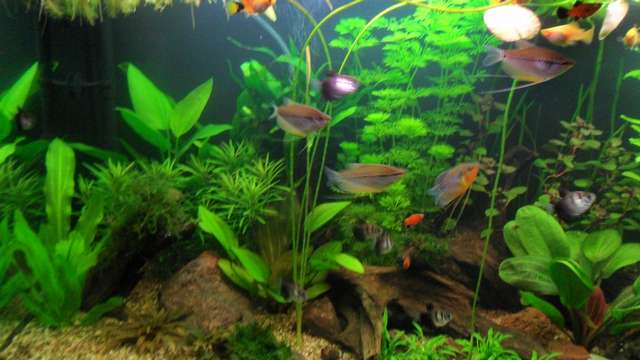 853123_0_82_sam_8815.jpg