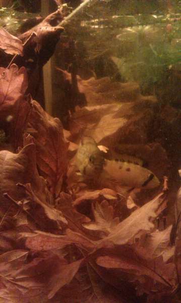 853745_0_82_imag1247.jpg