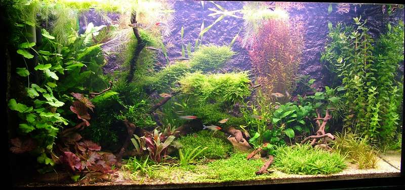 857896tomenriet_0_81_dscf3852 (1).jpg