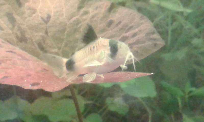 858862_0_82_20131028_143954.jpg