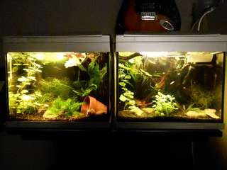 861966_0_82_030.jpg