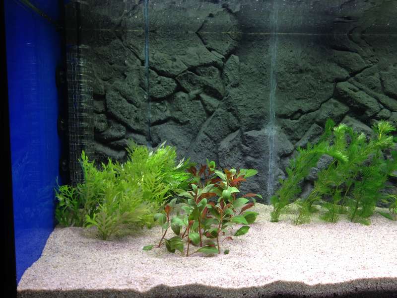 869129fishkeeper_0_82_img_0367.jpg