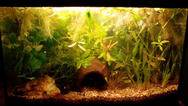 897433_0_82_img_20150502_131223.jpg