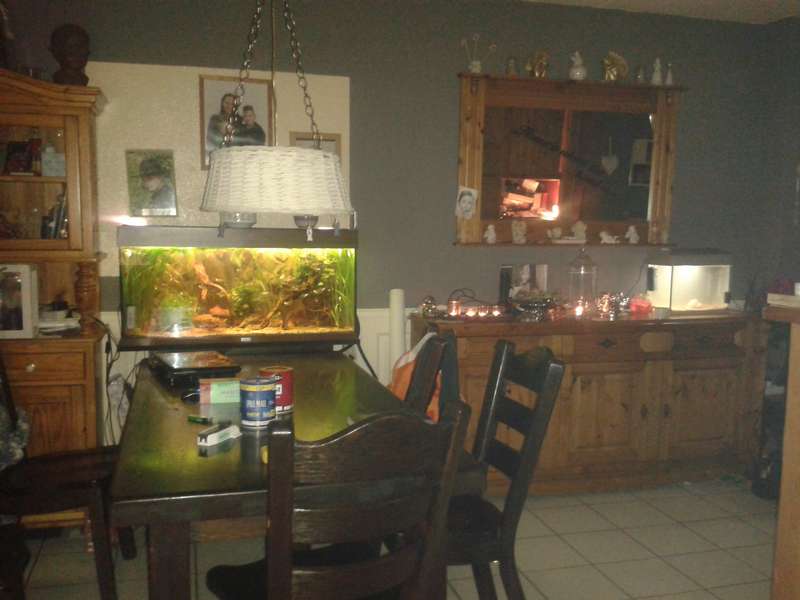 897852an_vrolijk_0_82_20140127_214318.jpg
