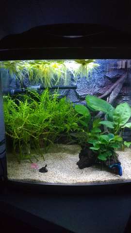 912558biologist_0_82_img_20151218_153043845.jpg