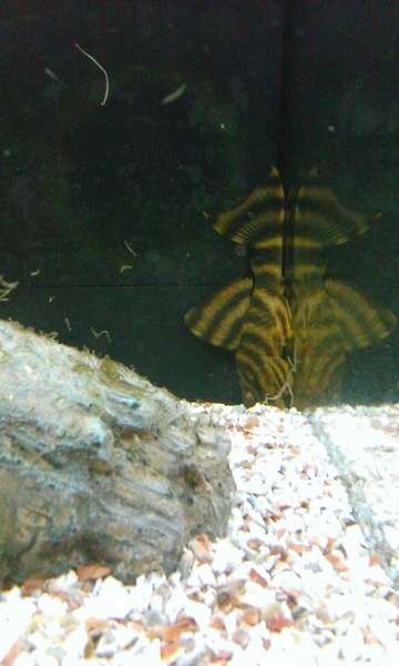 914484_0_82_1298.jpg