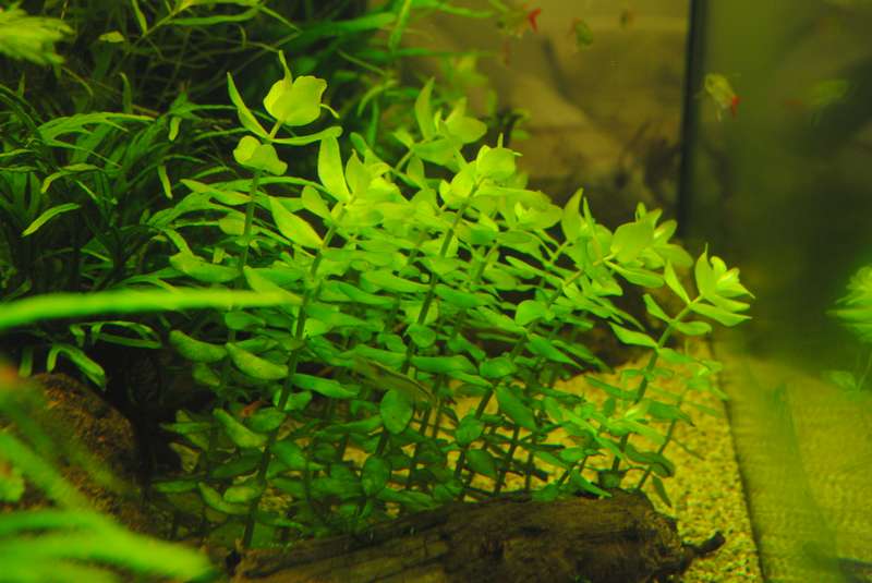 928414_0_82_153.jpg