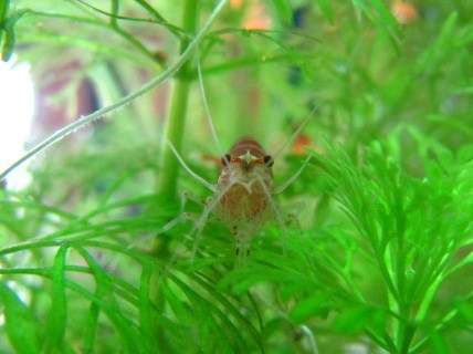 928719kimelderhorst_0_82_img_2355.jpg