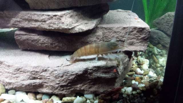 943927alunagang_0_82_20140204_191056.jpg