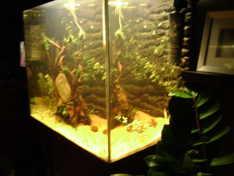 946115_0_82_dsc07104.jpg