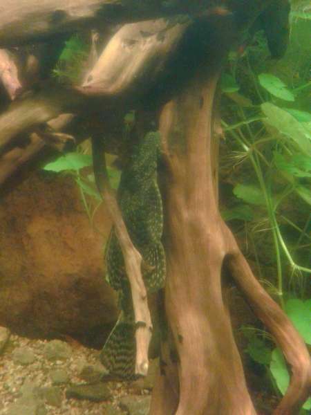 952316_0_82_20131229_202447.jpg