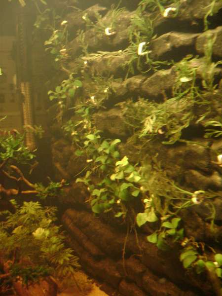 956431_0_82_dsc07108.jpg