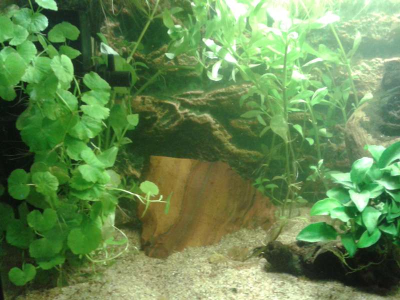 957632biologist_0_82_20150609_165435.jpg
