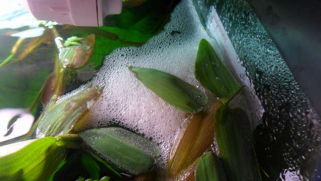 959159_0_82_sam_8861.jpg