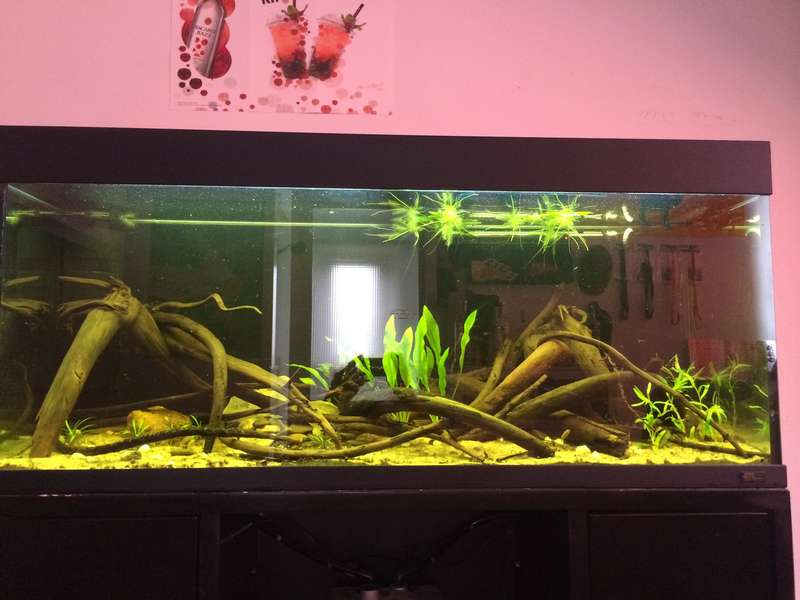 968627bartm_0_82_aqua_2.jpg