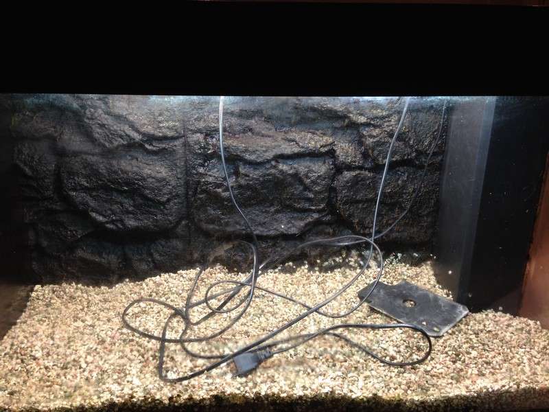 969251coolbr33ze_0_82_aquarium0002.jpg