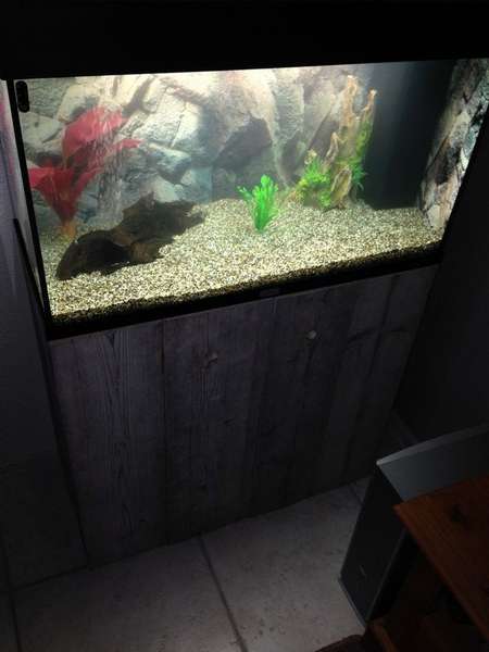 975892coolbr33ze_0_82_aquarium0022.jpg