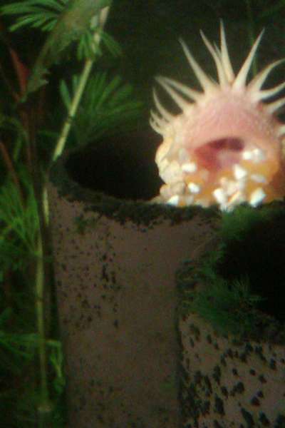 977618_0_82_20140224_09.jpg