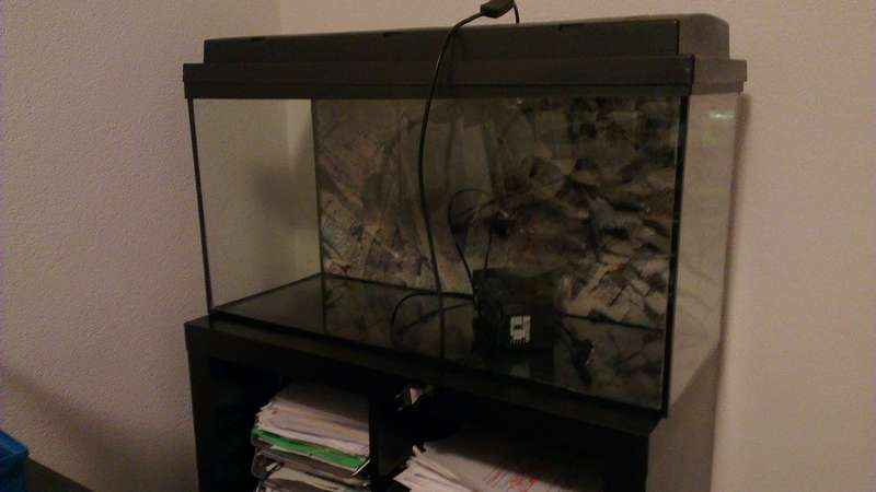 979747w0uter_0_82_w0uter_aquarium_imag0668.jpg