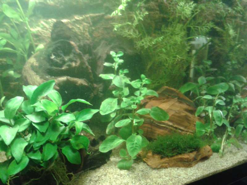 992229biologist_0_82_20150609_165443.jpg