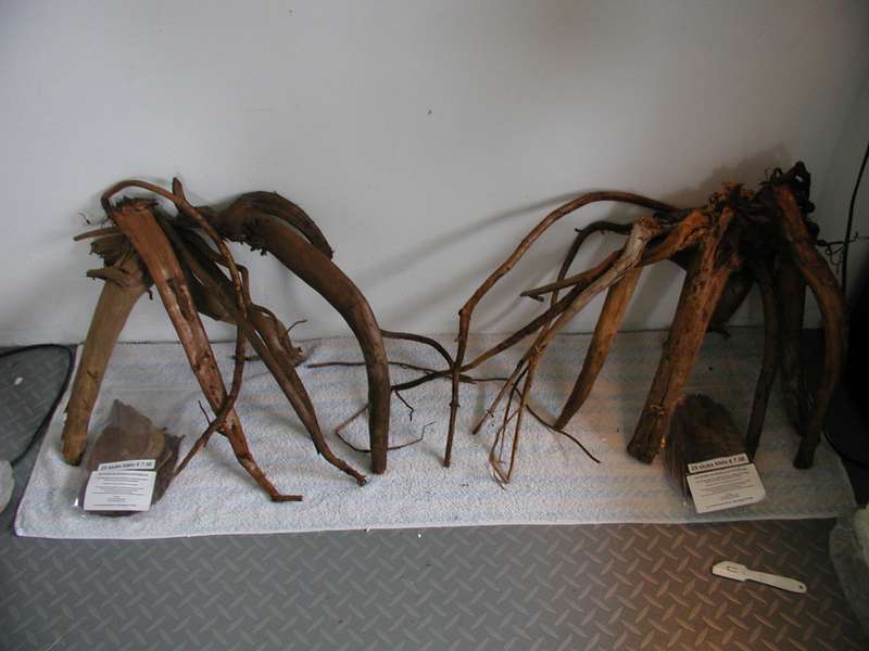 993236bartm_0_82_p1010108.jpg
