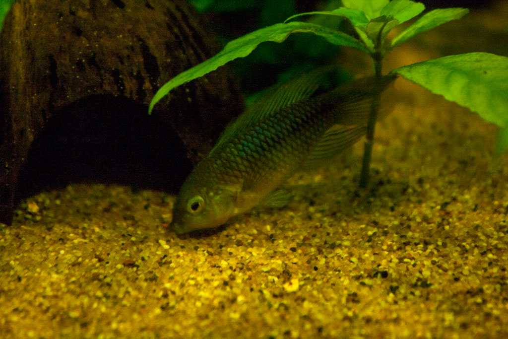 _mg_4918.jpg