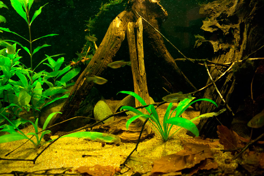_mg_4922b.jpg