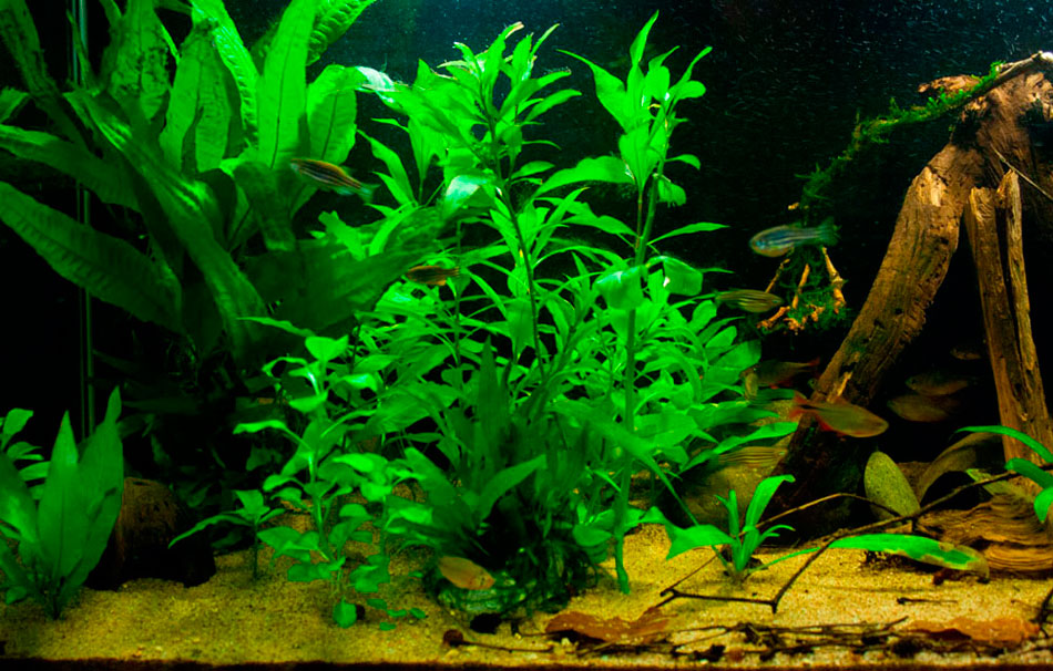 _mg_4924.jpg