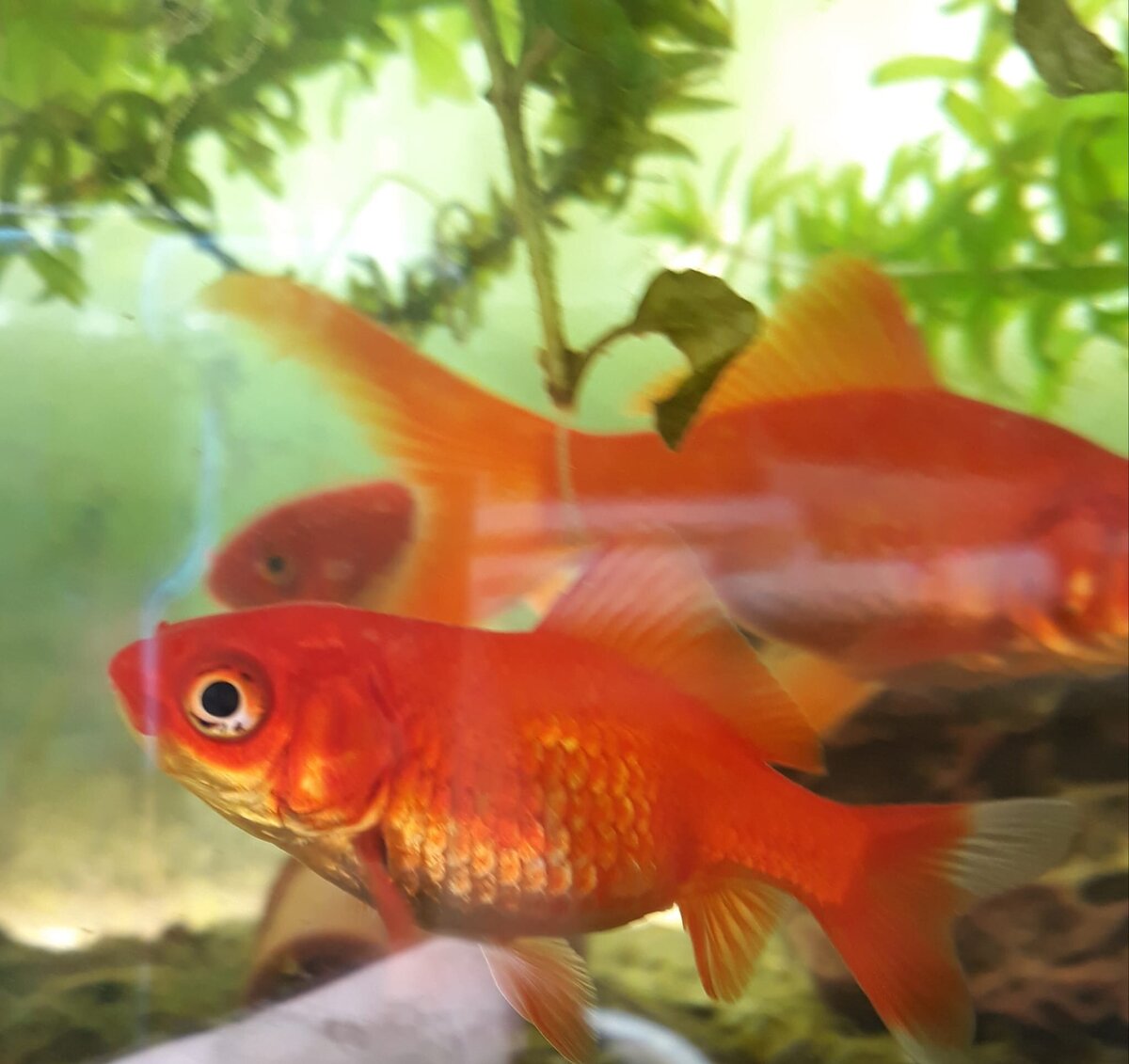 a5c433c1-b82c-49fc-983c-1cb043a85ce7 (1).jpg